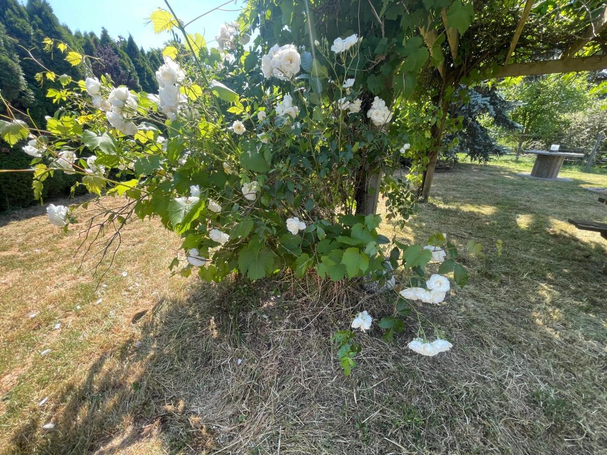 Gite De Solama Avec Spa Balleville Dış mekan fotoğraf